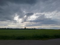 IMG_20240425_173903.jpg