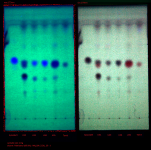 2024.05.14_pp - nexus.png