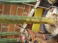 CIMG0875.jpg CIMG0875.jpg