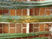 CIMG0876.jpg CIMG0876.jpg