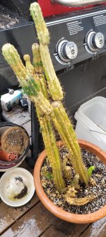 20240522_115613.jpg 20240522_115613.jpg