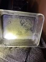 IMG_5962.jpeg IMG_5962.jpeg