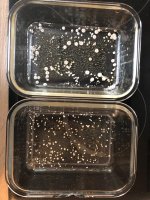 WhatsApp Image 2024-06-14 at 08.30.36.jpeg