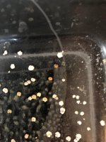 WhatsApp Image 2024-06-14 at 08.30.36 (1).jpeg