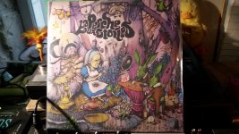 20240627_072835.jpg 20240627_072835.jpg