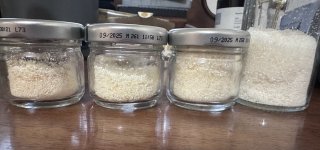 IMG_1474.jpeg IMG_1474.jpeg