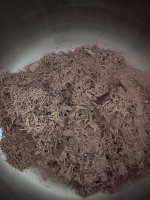 IMG_1277.JPEG IMG_1277.JPEG