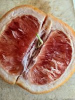 seed in grapefruit.jpg