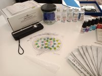 IMG_20240731_115444_9.jpg IMG_20240731_115444_9.jpg