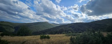 20240809_174337.jpg 20240809_174337.jpg