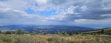 20240809_171306.jpg 20240809_171306.jpg