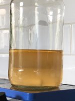 WhatsApp Image 2024-08-26 at 15.07.10.jpeg