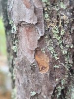 20240823_143625.jpg 20240823_143625.jpg