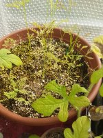 20240903_152333.jpg 20240903_152333.jpg