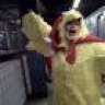 pluckerthechicken