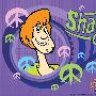shaggynscoob