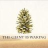 TheGiantIsWaking