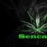 Sencala