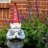 The Gnome