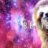 sloth_in_space