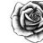 BlackRose