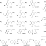 Psychedelics and the Human Receptorome