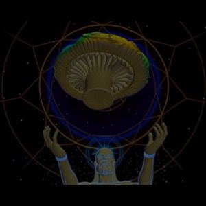 We live in the Mushroom