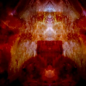 No visitor, but a homecoming.