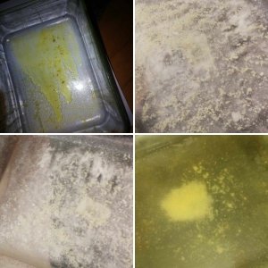 DMT extraction results