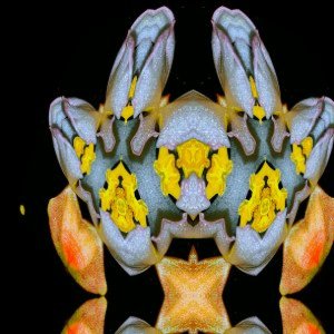 The things I've seen