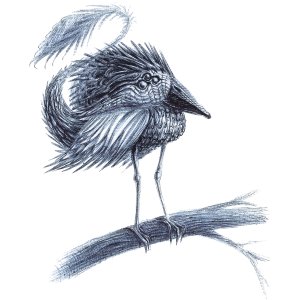 Strange Bird 01