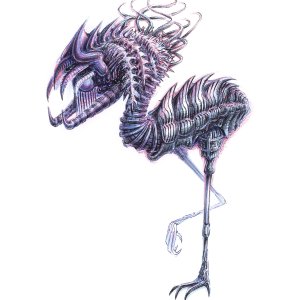 Strange Bird 02