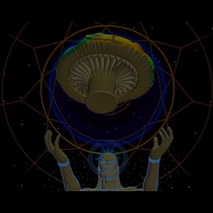 FB_VID_4978889941994026886.mp4