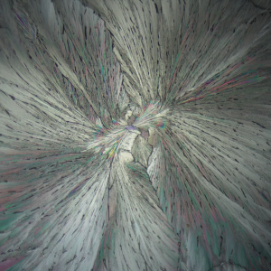 Rotating Polarizer.mp4