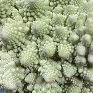 Romanesco broccoli
