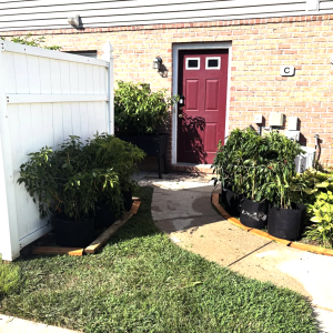 Screenshot 2025-09-23 at 11.24.37 PM.png