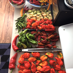 Screenshot 2025-09-23 at 11.26.48 PM.png