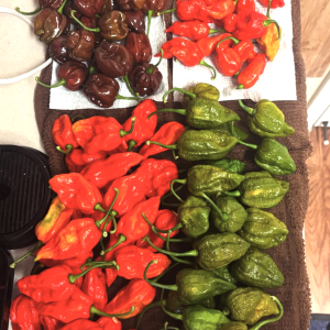 Screenshot 2025-09-23 at 11.26.58 PM.png