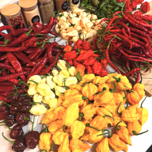 Screenshot 2025-09-23 at 11.28.01 PM.png