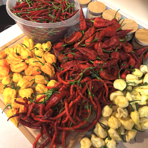 Screenshot 2025-09-23 at 11.28.14 PM.png