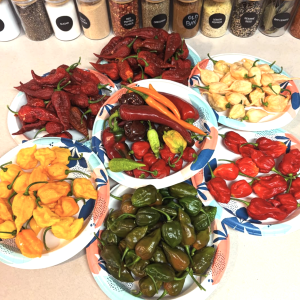 Screenshot 2025-09-23 at 11.28.30 PM.png