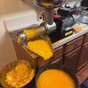 Fabio Lionardi Mill.jpg