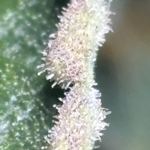 Screenshot 2026-01-04 at 8.23.36 PM.png