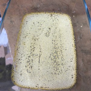 First Pull in freeze precip dish