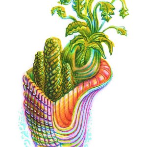 Xerophyte 01