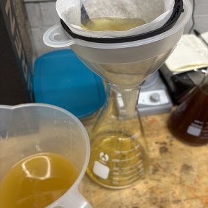 IMG_3248.jpeg