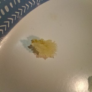 Media '17903871659498469242125006350863.jpg' in album 'Recrystallized with starting fluid'