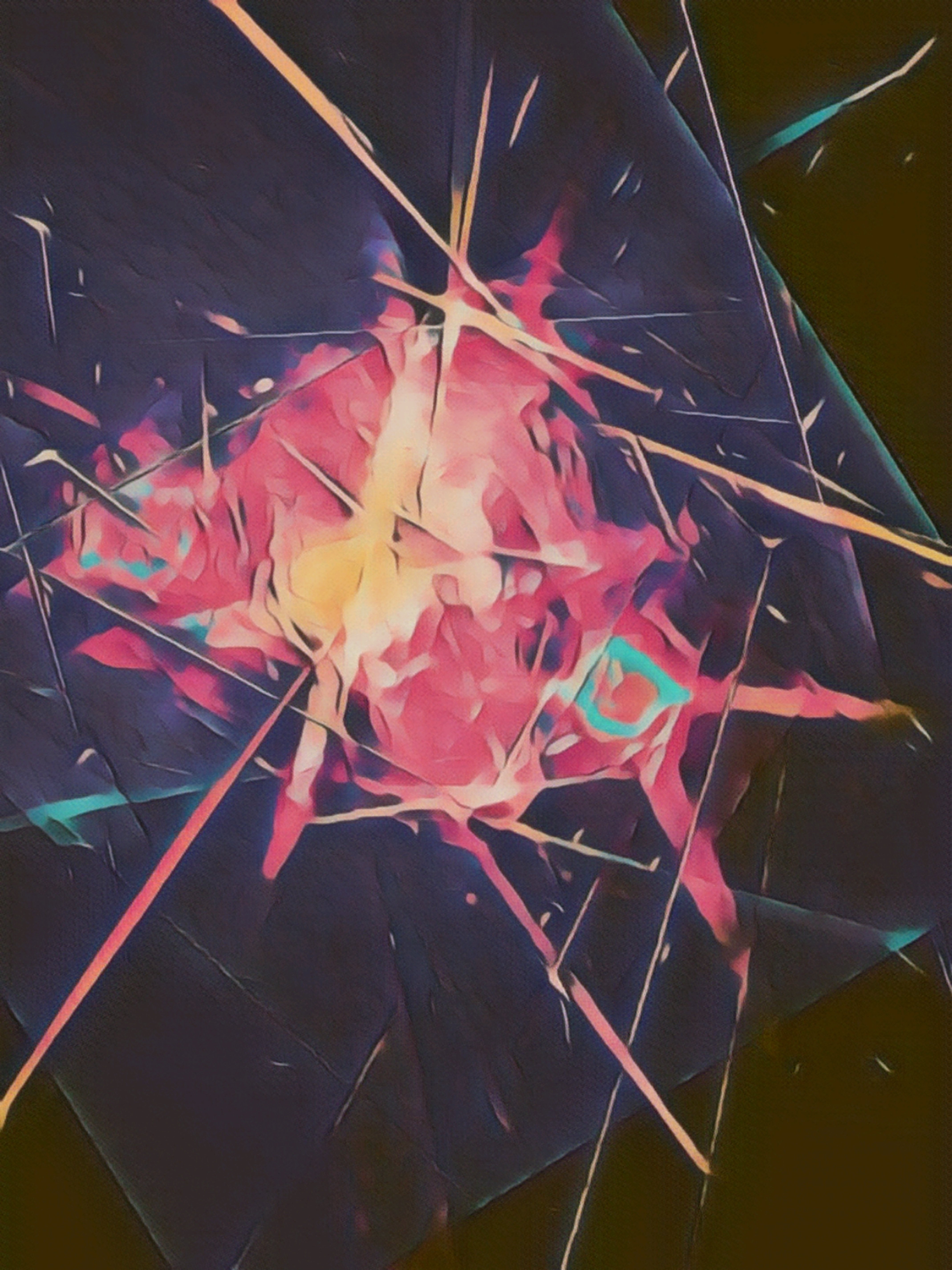 1000017561 (1)(2).jpg