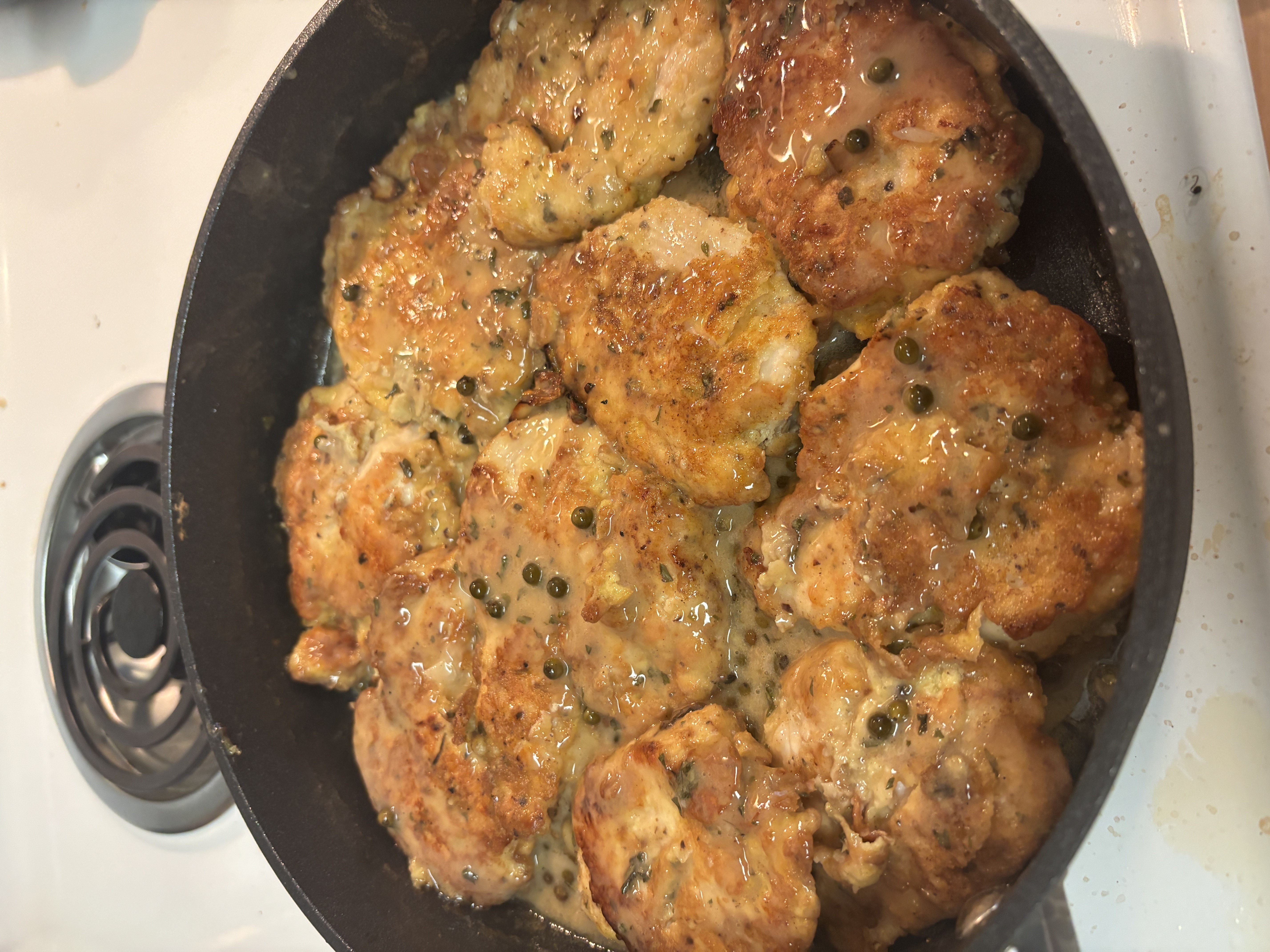 Chicken - Fricasse.JPG