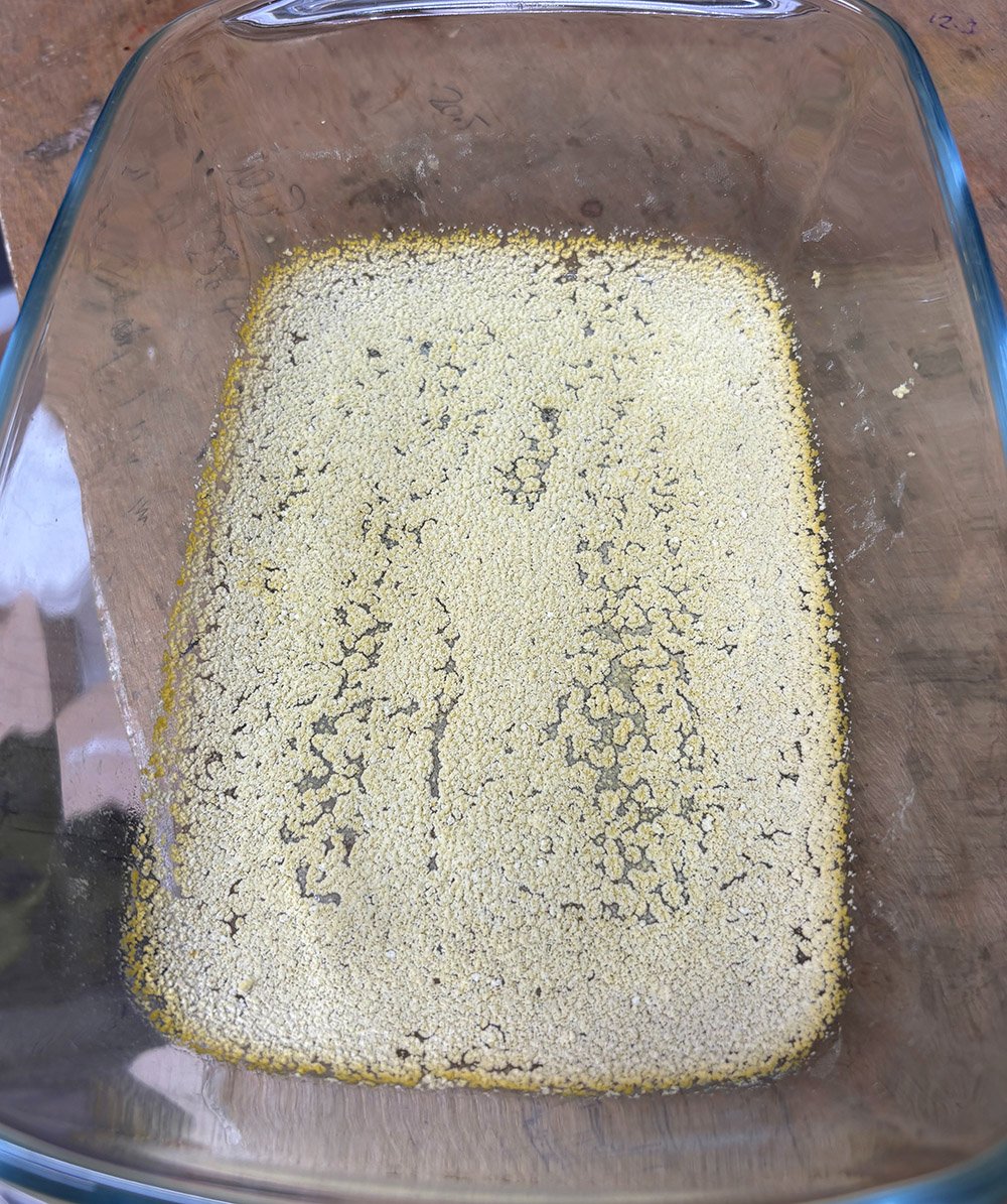 First Pull in freeze precip dish